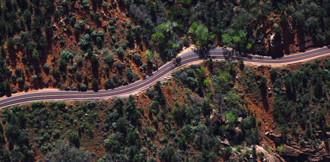 aerial_view_of_trees_and_highway